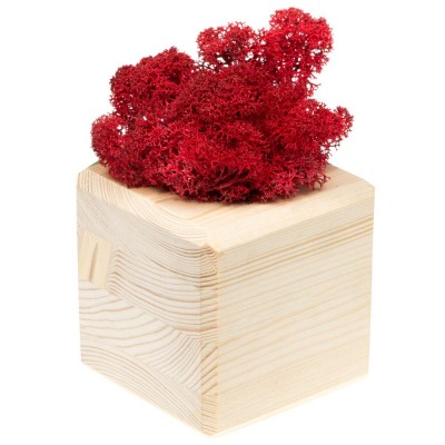 Декоративная композиция GreenBox Wooden Cube, красный