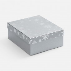Коробка Wintry, серебристая